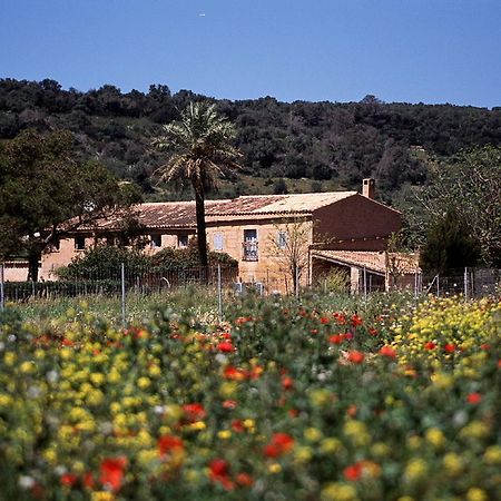 Finca Es Mayolet Manacor  Exterior foto