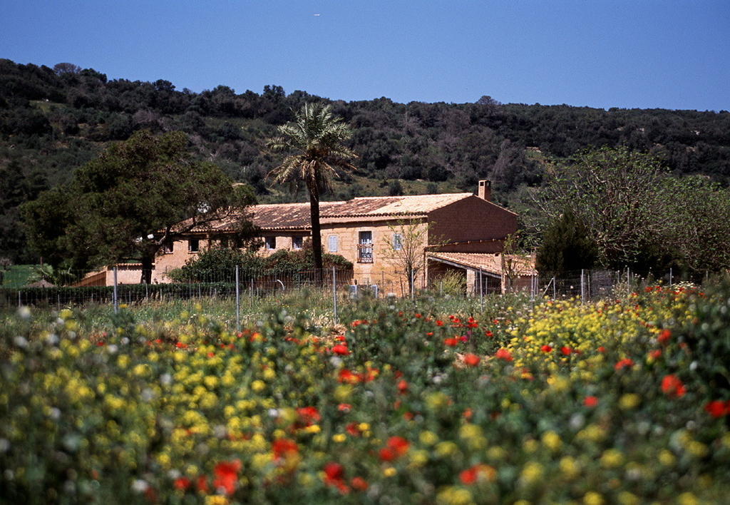 Finca Es Mayolet Manacor  Exterior foto